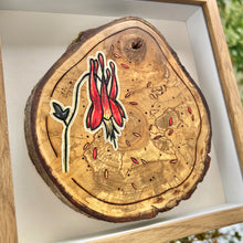 Load image into Gallery viewer, Wild Columbine on Live Edge Cherry // Shadow Box Pyrography Art
