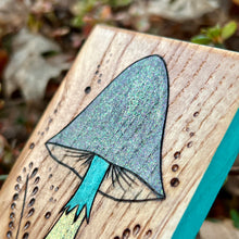 Load image into Gallery viewer, Mushroom Mini Pyrography Art
