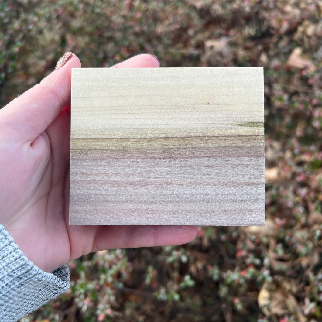 Rainbow Poplar Piece 005