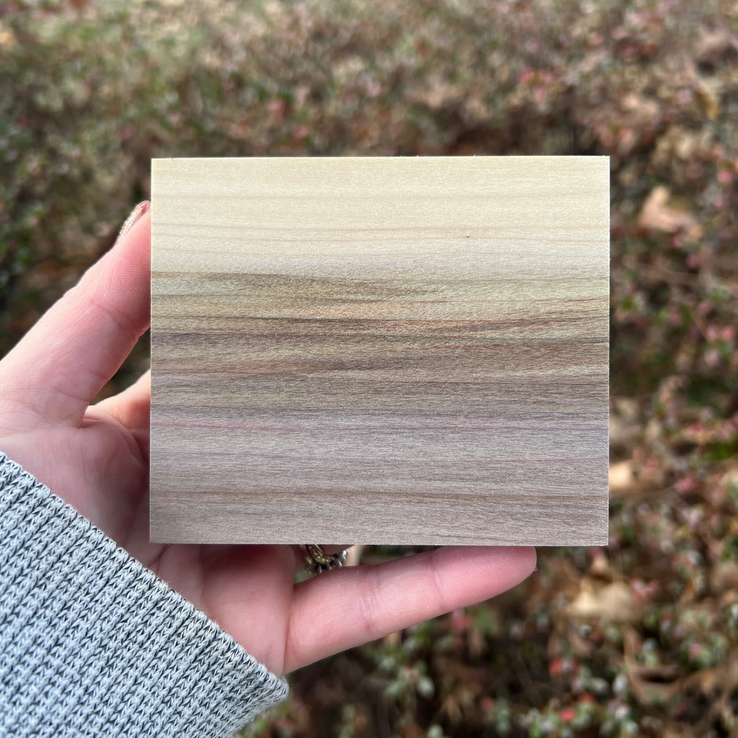 Rainbow Poplar Piece 002