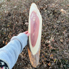 Load image into Gallery viewer, Live Edge Oval Cedar Panel 004
