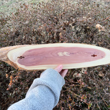 Load image into Gallery viewer, Live Edge Oval Cedar Panel 004
