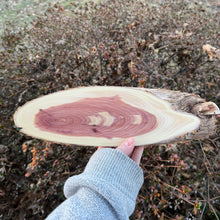 Load image into Gallery viewer, Live Edge Oval Cedar Panel 003
