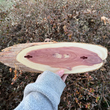 Load image into Gallery viewer, Live Edge Oval Cedar Panel 003
