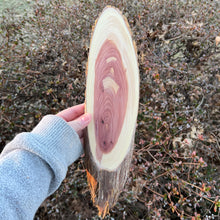 Load image into Gallery viewer, Live Edge Oval Cedar Panel 001
