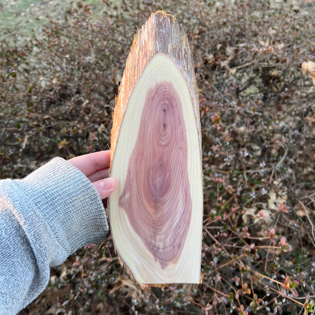 Live Edge Oval Cedar Panel 007