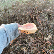 Load image into Gallery viewer, Live Edge Oval Cedar Panel 007
