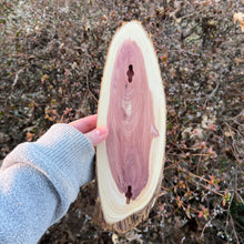 Load image into Gallery viewer, Live Edge Oval Cedar Panel 007
