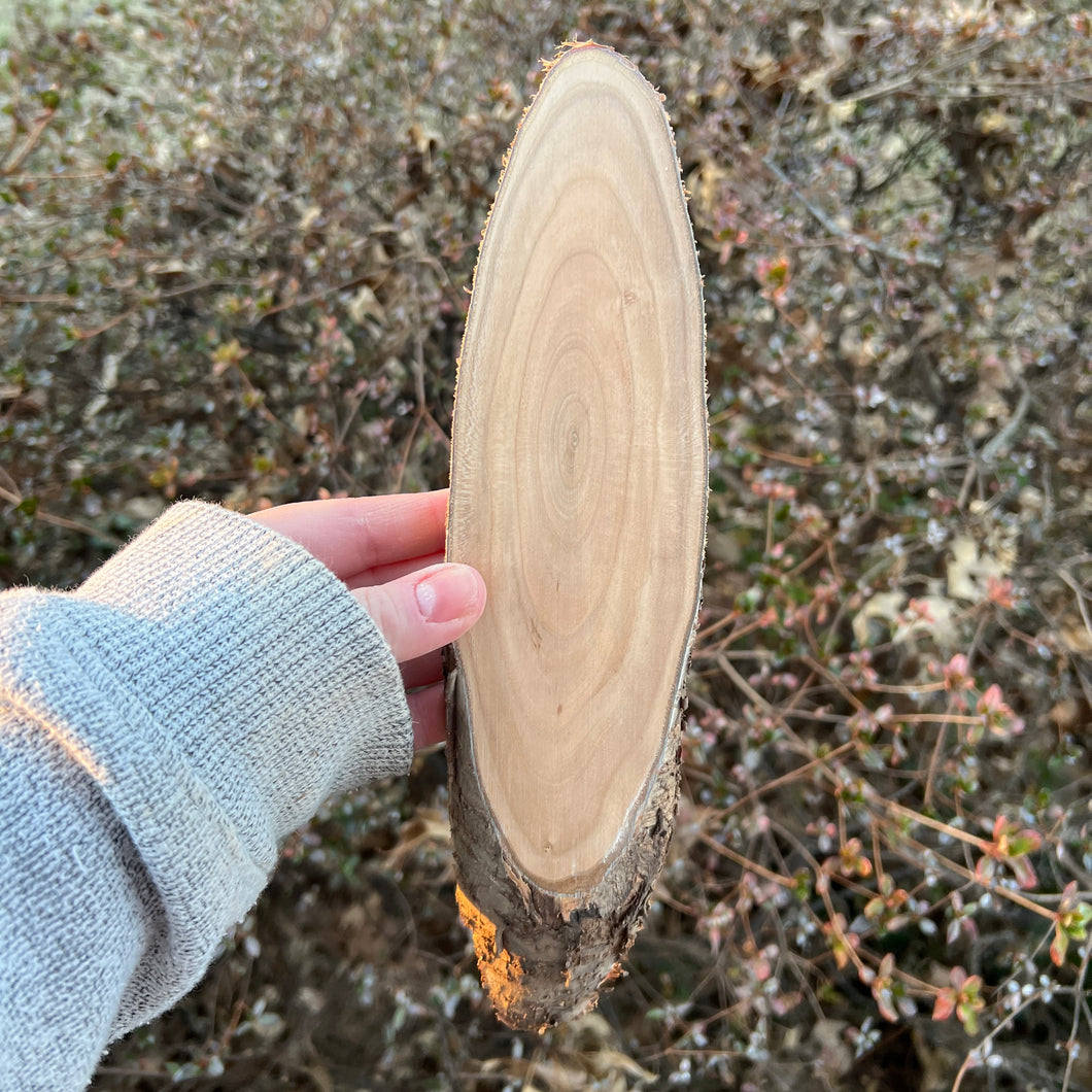 Live Edge Cherry Oval Panel 005