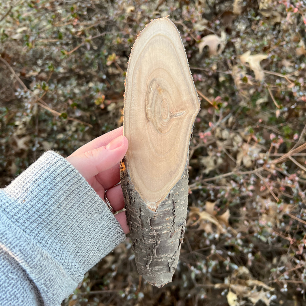 Live Edge Cherry Oval Panel 017