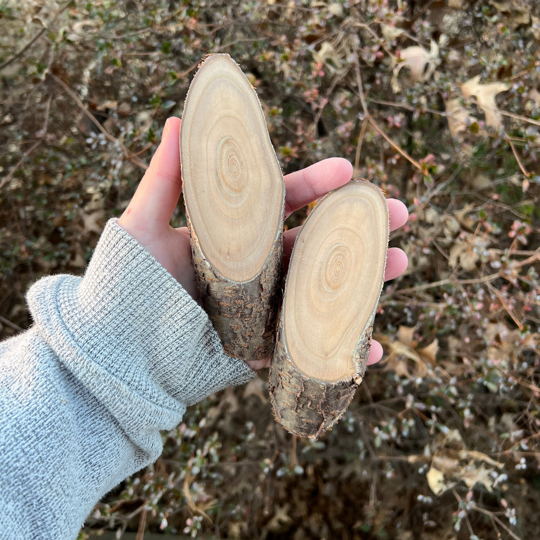 Set of 2 Live Edge Cherry Oval Minis