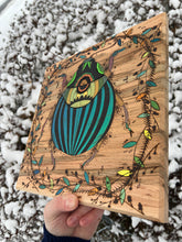 Load image into Gallery viewer, &quot;Beetle Boi&quot; Pyrography Art
