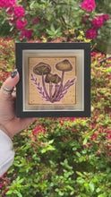 Load and play video in Gallery viewer, Mushrooms // Shadow Box Pyrography Art
