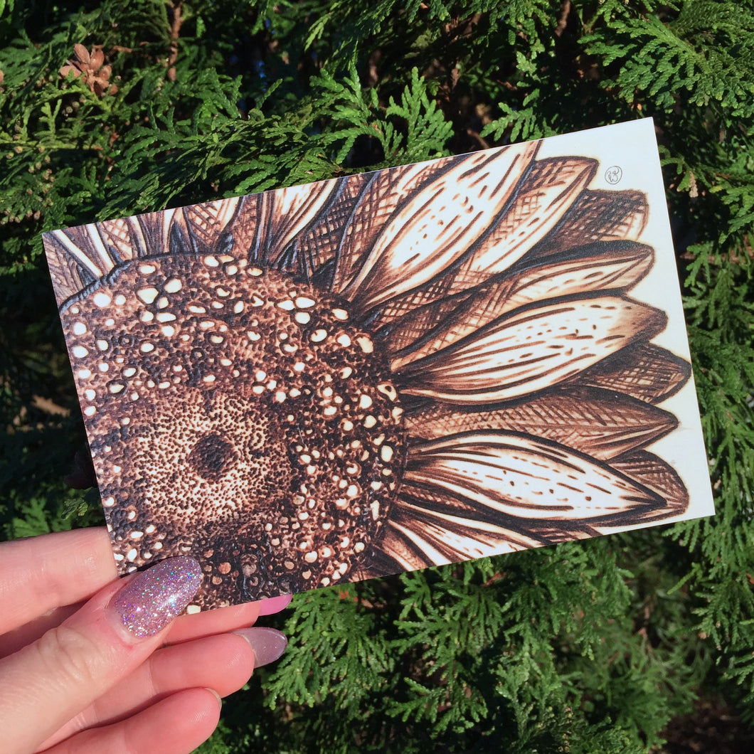 Pyrography Sideways Sunflower Greeting Cards
